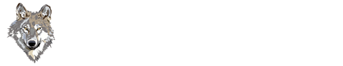 Wolf Tax and Accounting Services Logo